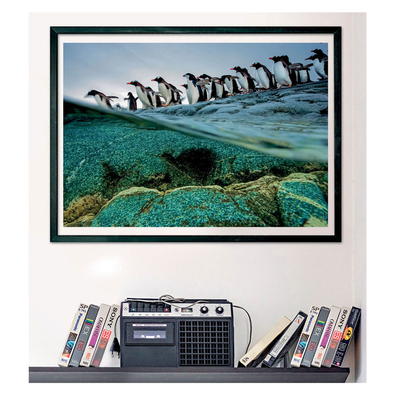 Load image into Gallery viewer, Clementoni Legpuzzel National Geographics - Penguin, 1000st.
