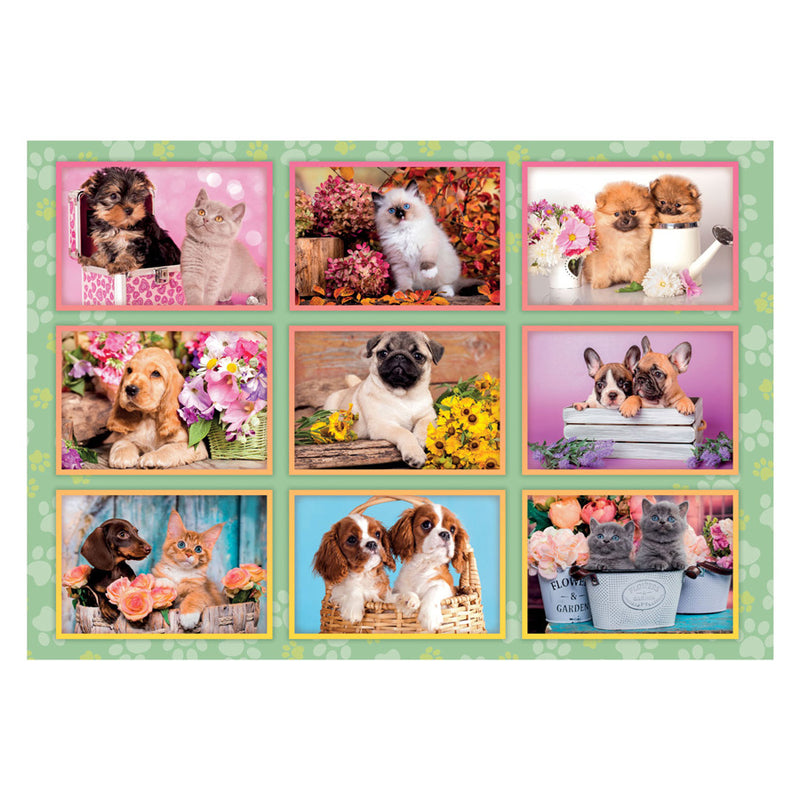 Load image into Gallery viewer, Clementoni legpuzzel super color puppies collage, 180st.
