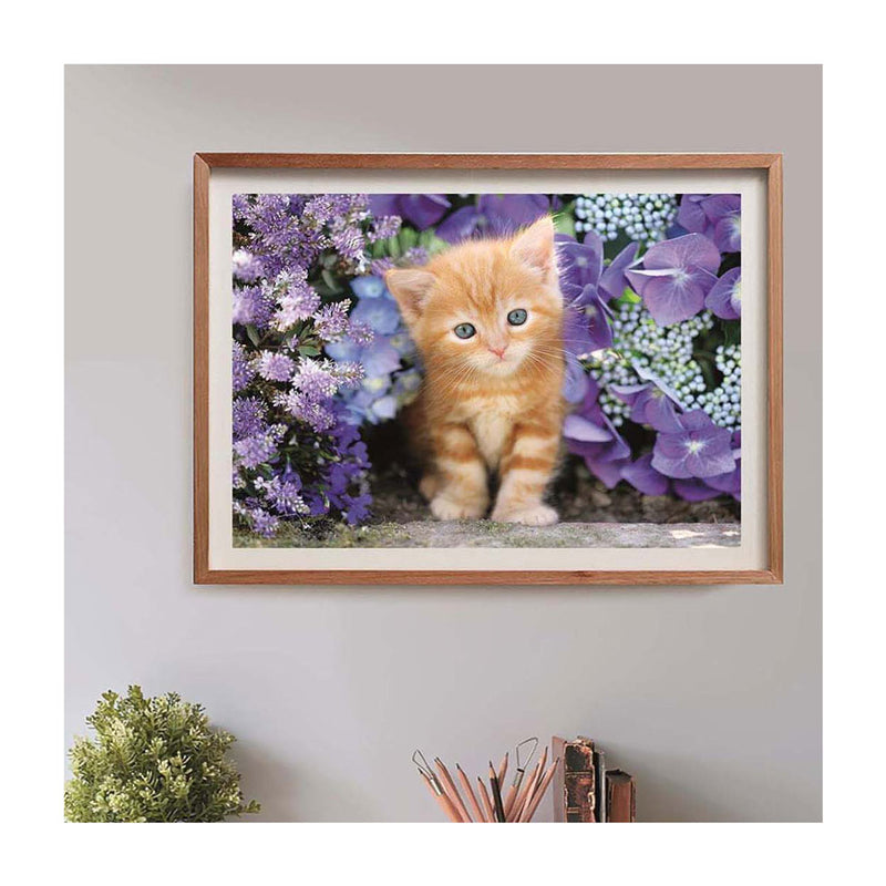 Afbeelding laden in galerijviewer, Clementoni clemetoni legpuzzel ginger cat, 500st.
