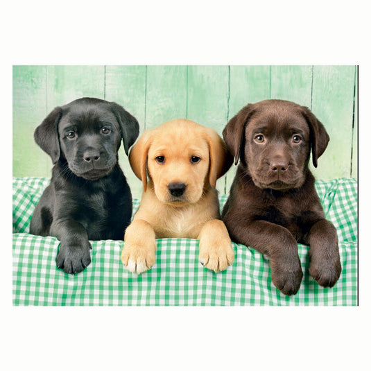 Clementoni puzzel 1000 stukjes three labs