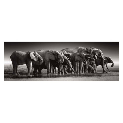 Clementoni legpuzzel herd of giants, 1000st.