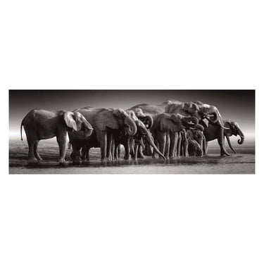 Clementoni legpuzzel herd of giants, 1000st.
