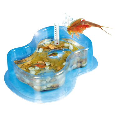 Clementoni wetenschap spel kweek je eigen triops