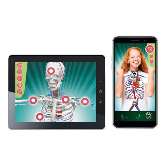 Clementoni wetenschap en spel - super anatomie