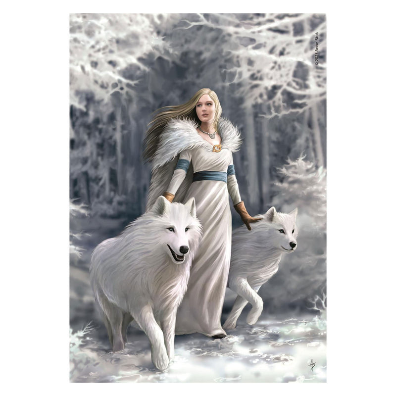 ギャラリービューアに画像をロードする, Clementoni legpuzzel anne stokes winter guardians - 1000st.
