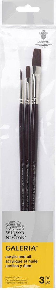 Winsor newton 5790609 galeria acrylpenseel set – 3 penselen met lange steel voor acrylschilderen ( rond 4, plat 4, plat 12 )