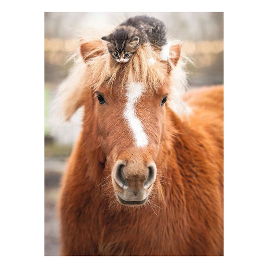 Ravensburger – pony and cat – legpuzzel – 500 stukjes