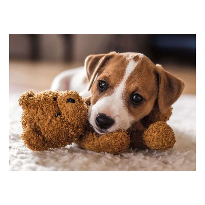 Afbeelding laden in galerijviewer, Ravensburger – cuddly buddies – legpuzzel – 500 stukjes
