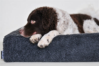 Load image into Gallery viewer, Bia bed fleece hoes hondenmand grijs
