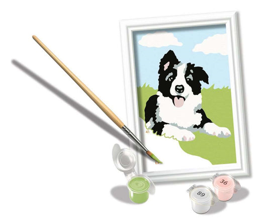 Ravensburger creart schilderen op nummer border collie