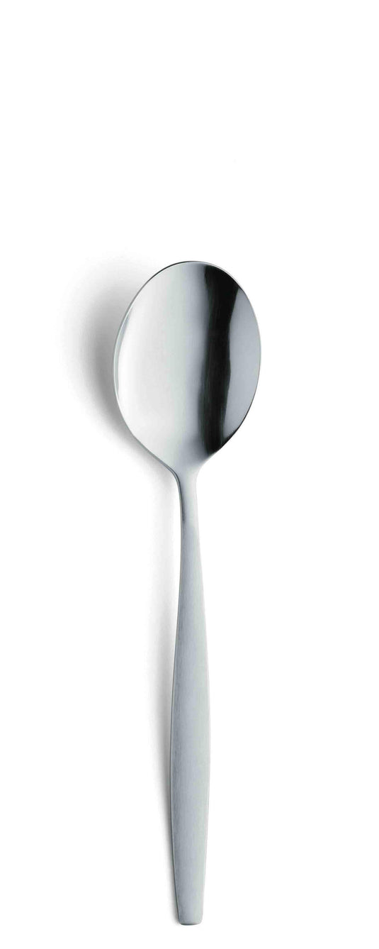 Amefa koffielepels 12st in c c box