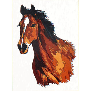 Nassau schilderen op nummer paard | 3 stuks