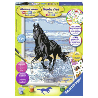 Ravensburger schilderen op nummer paard in de branding