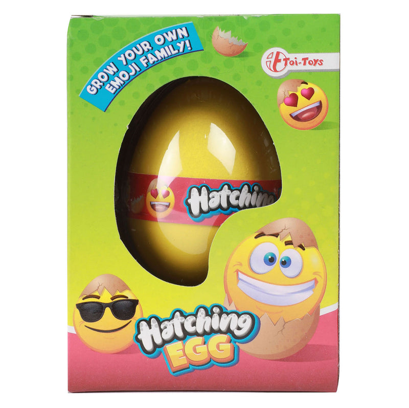 Load image into Gallery viewer, Toi-toys groei-ei lachgezicht
