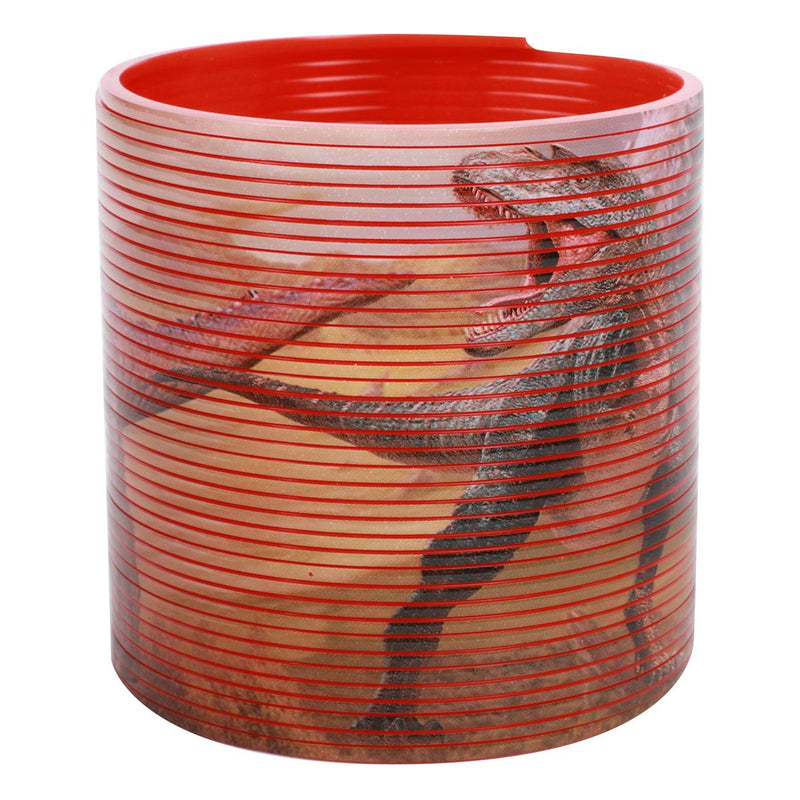 Load image into Gallery viewer, Toi-toys world of dinosaurs loopveer met dinoprint
