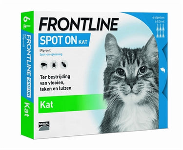 Frontline Kat spot on