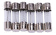 Dresselhaus glazen zekering glass fuses 5x20mm for car radio 10a 6 piece