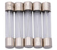 Dresselhaus glazen zekering glass fuses 6x32mm 10a f. american fahrz.