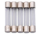 Dresselhaus glazen zekering glass fuses 6x32mm 30a f. american fahrz.