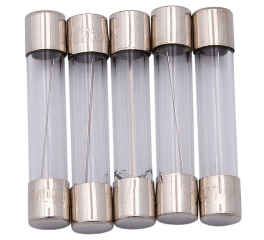 Dresselhaus glazen zekering glass fuses 6.3x30 10a f. japanese vehicles.