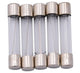 Dresselhaus glassicherung glass fuses 6.3x30 10a f. japanese vehicles.