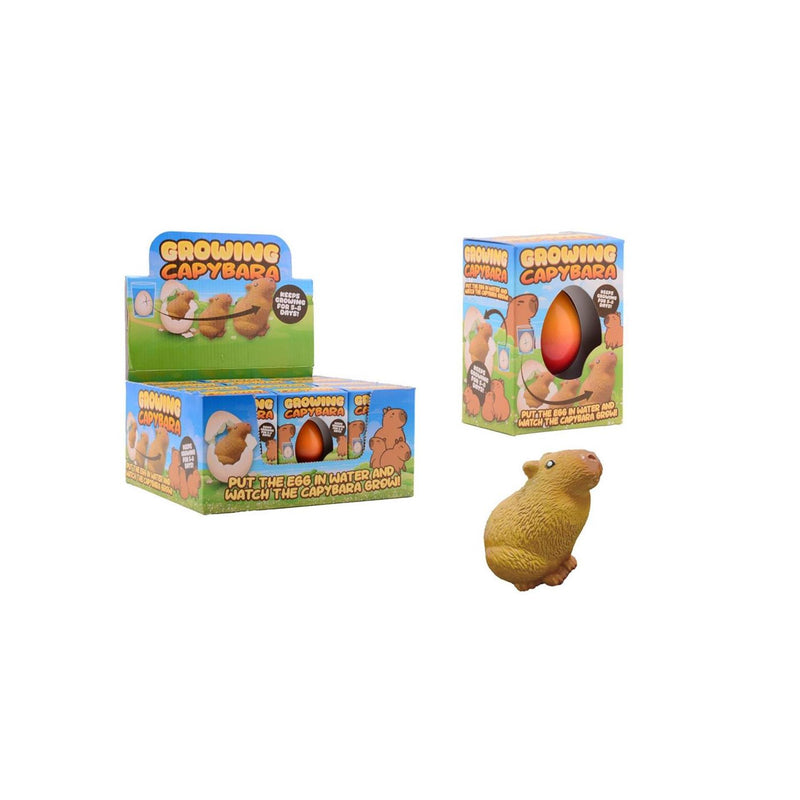 Laden Sie das Bild in Galerie -Viewer, Johntoy groeiende capybara ei in doos,4 assorti
