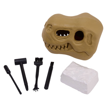 Johntoy dinoschedel met fossiel uithakset