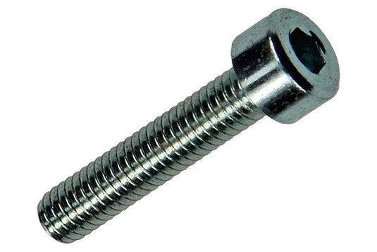 Mack 1017645 - binnenzeskant bout cyl.kop verz. 11 st m4 x 20 mm | 10 stuks