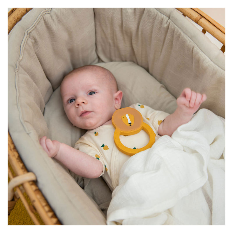 Load image into Gallery viewer, Trixie Bijtring Rond Mr. Lion
