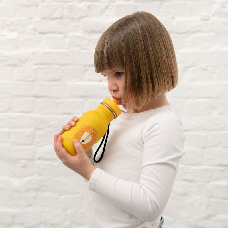 Load image into Gallery viewer, Trixie Drinkfles Mr. Lion, 350ml
