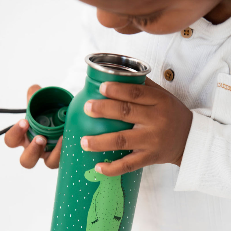 Load image into Gallery viewer, Trixie Drinkfles Mr. Corcodile, 350ml
