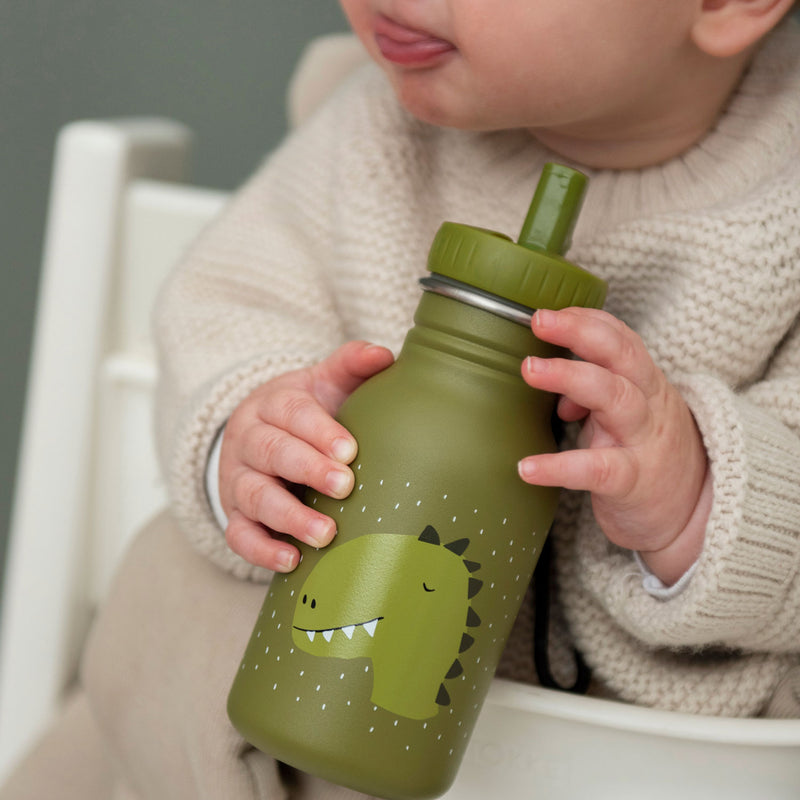 Load image into Gallery viewer, Trixie drinkfles mr. dino, 350ml

