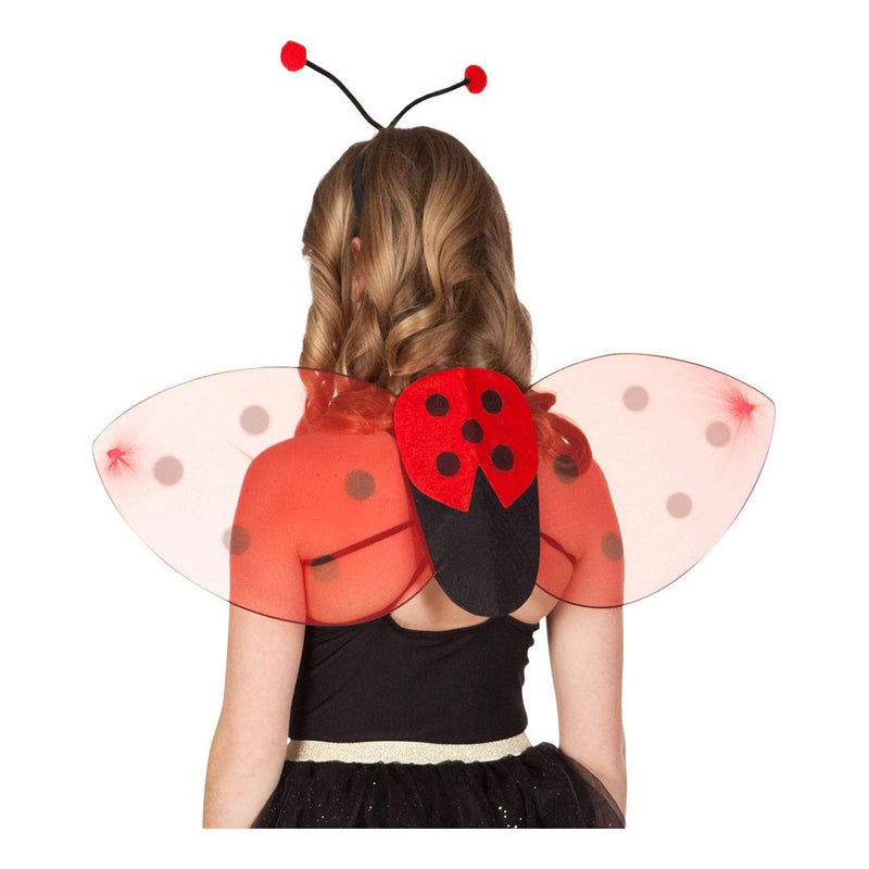 Load image into Gallery viewer, Boland verkleedset lieveheersbeestje
