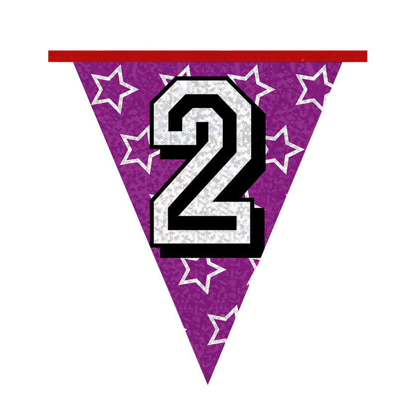 Load image into Gallery viewer, Boland Vlaggenlijn 2 jaar, 8mtr.
