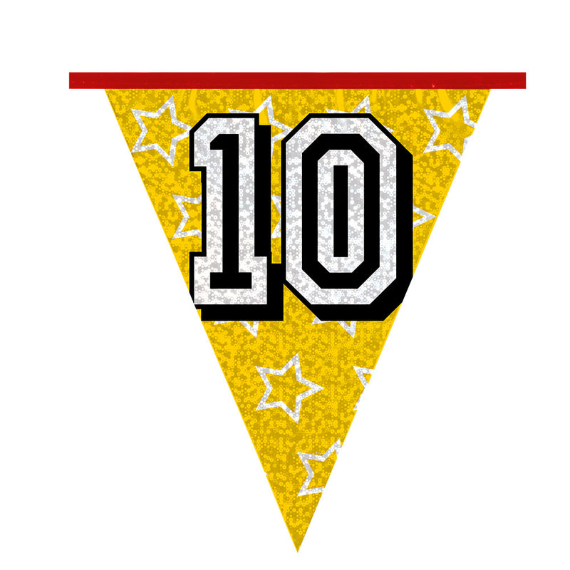 Load image into Gallery viewer, Boland vlaggenlijn holografisch 10jaar 8 meter
