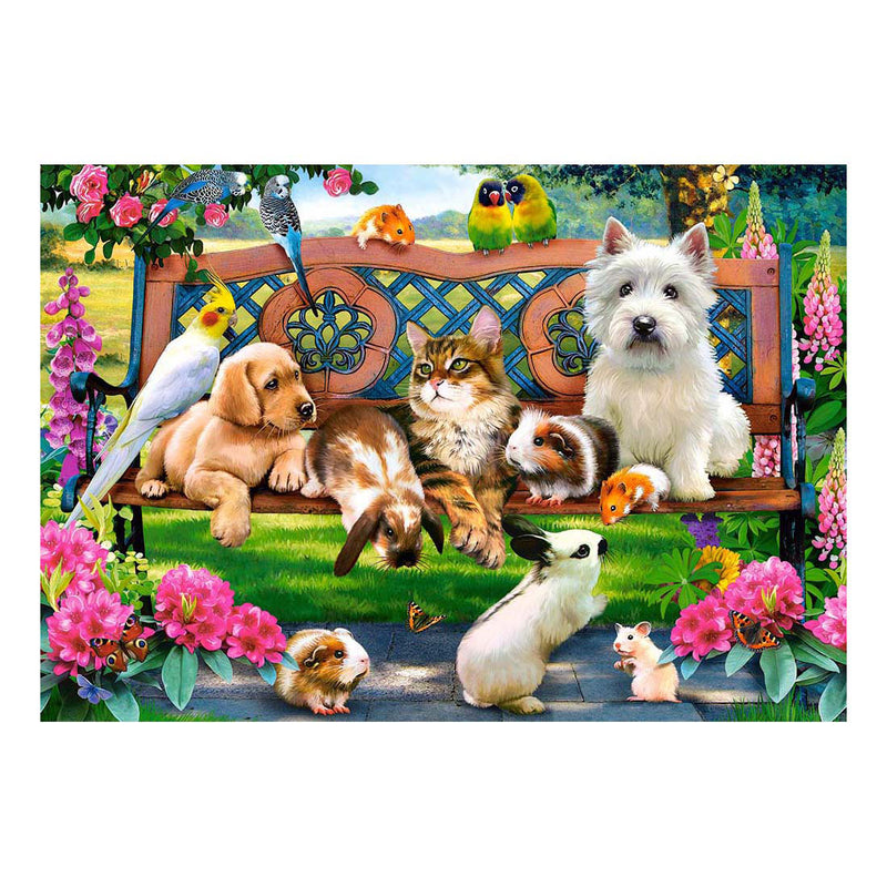 Afbeelding laden in galerijviewer, Castorland pets in the park – puzzel – 1.000 stukjes – satijnen afwerking – perfecte pasvorm – europese kwaliteit

