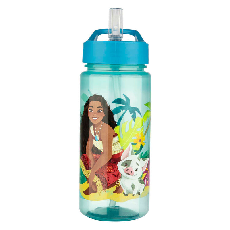 Afbeelding laden in galerijviewer, Disney vaiana serie - bidon - 500ml - veilig materiaal - nadruk hoofdbetaalfiguren
