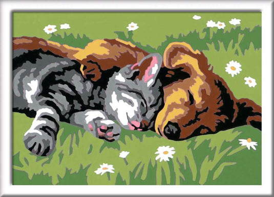 Ravensburger creart sleeping cats dogs