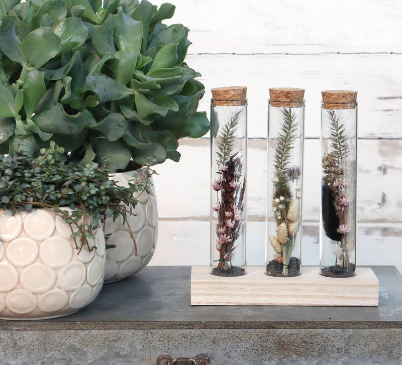 Afbeelding laden in galerijviewer, Ideas 4 seasons houten houder met 3 reageerbuizen met kurk stopper ã˜3x15cm
