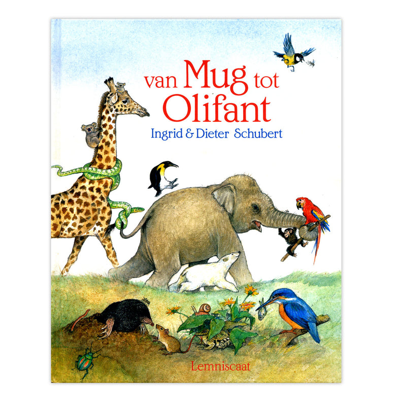 Load image into Gallery viewer, Van mug tot olifant
