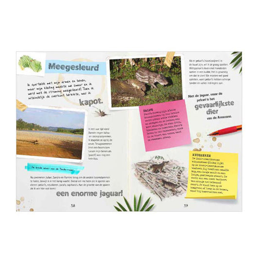 Centraal boekhuis dagboek van een ontdekkingsreiziger - expeditie amazone