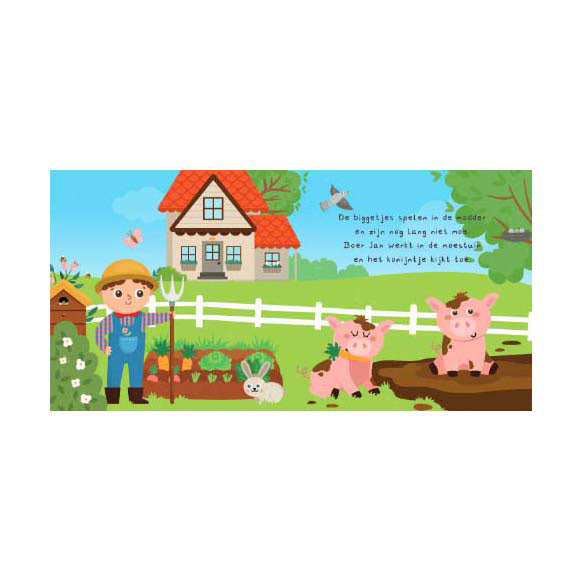 Load image into Gallery viewer, Lantaarn publishers kun je mij vinden? op de boerderij voorleesboek en 20 memokaarten
