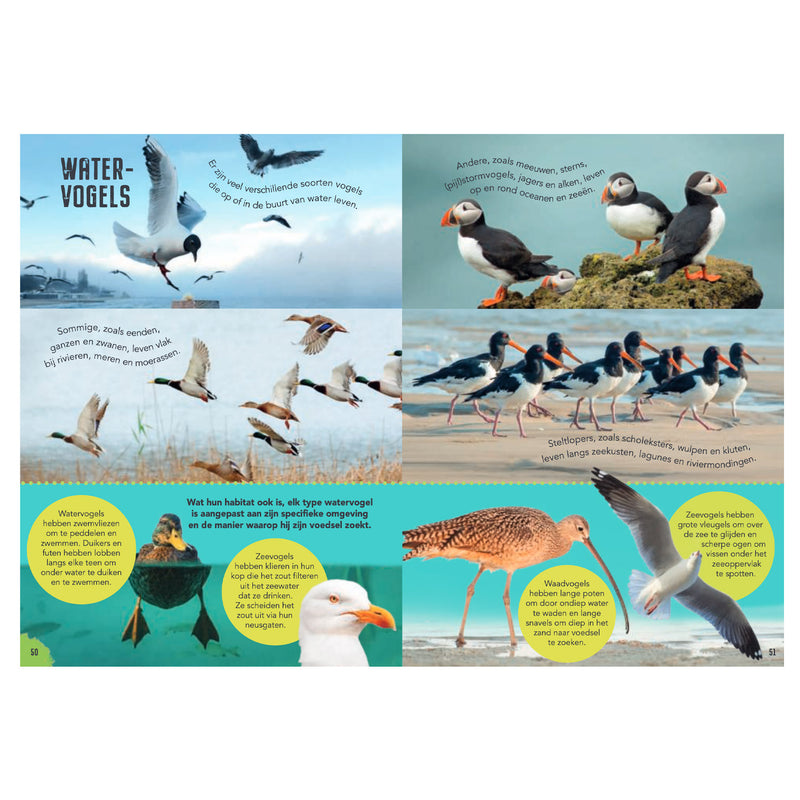 Afbeelding laden in galerijviewer, Rebo publishers vogels - gids en natuurdagboek voor kinderen

