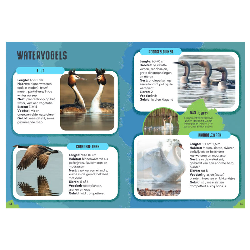 Afbeelding laden in galerijviewer, Rebo publishers vogels - gids en natuurdagboek voor kinderen
