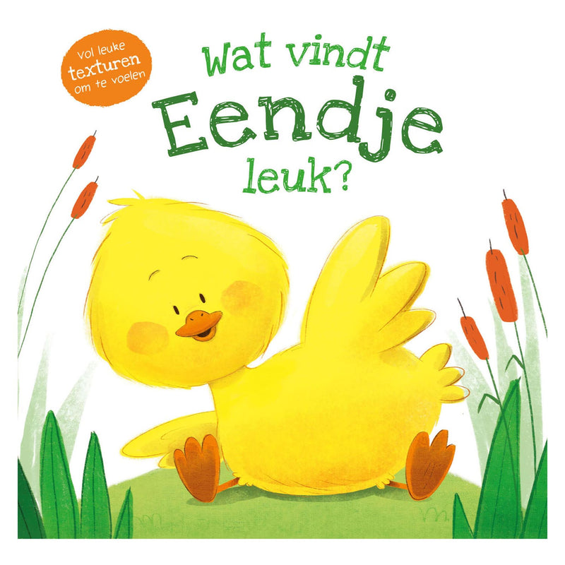 Load image into Gallery viewer, Rebo publishers voelboek - wat vindt eendje leuk?
