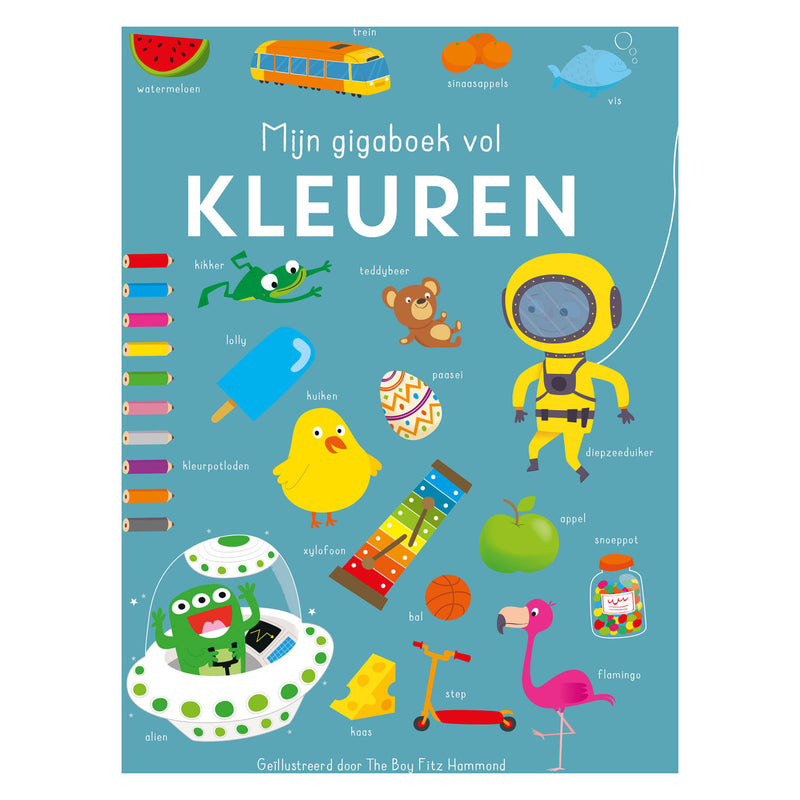 Load image into Gallery viewer, Rebo publishers mijn gigaboek vol kleuren
