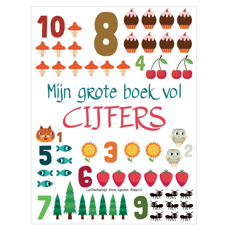 Load image into Gallery viewer, Rebo publishers mijn grote boek vol cijfers
