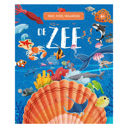 Rebo publishers de zee - wat, hoe en waarom