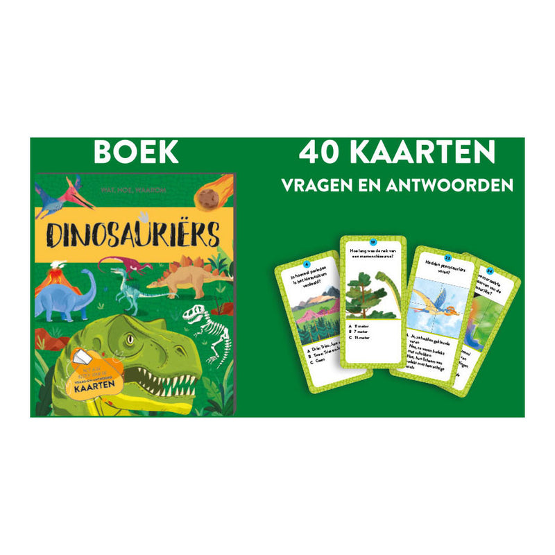 Load image into Gallery viewer, Rebo publishers dinosauriers - feit- en speelset

