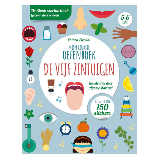 Rebo publishers vijf zintuigen-leukste oefenboek
